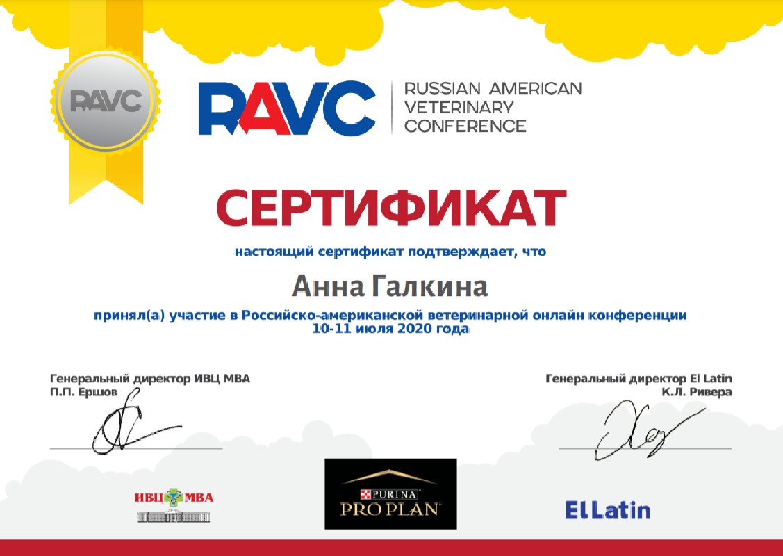 сертификат RAVC 2020